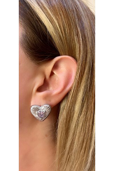Store Steel heart earrings