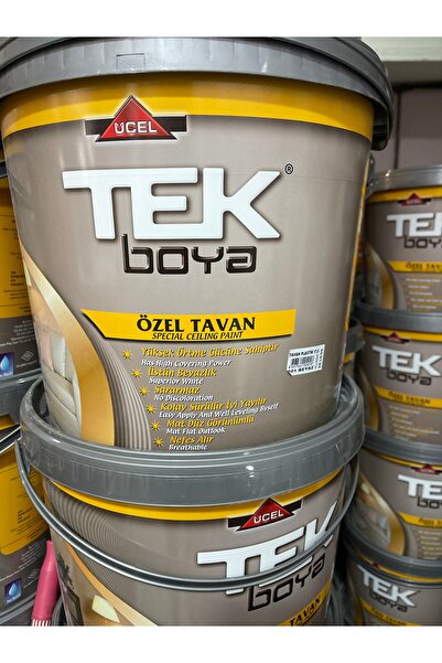 TEK BOYA Tek Tavan Boyası Beyaz 17.5 Kg 10 Lt