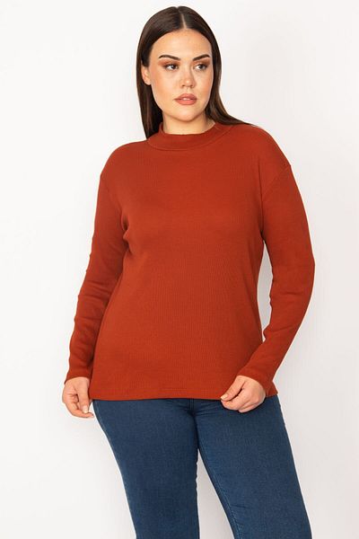 Şans Women's Large Size Orange High Collar Lycra Blouse 65n30162