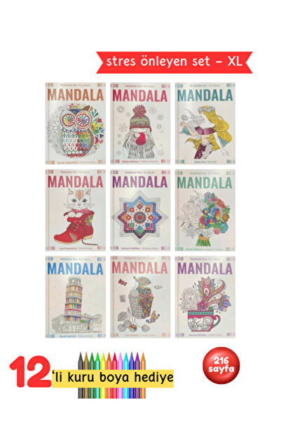Pembe Pasaj Yetişkinler Için Mandala Boyama Kitap Seti Ömürlük Set 9 Kitap