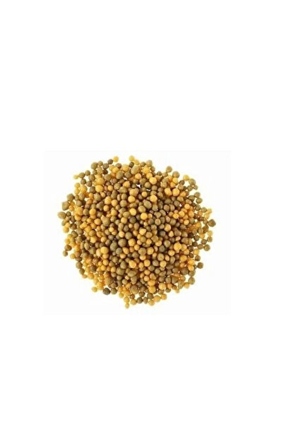 fidanistanbul Osmocote Exact 15 9 12 2 Mg TE 5 6 Aylık 1 Kilo