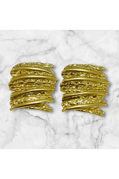 Store Steel Earrings