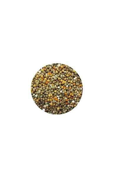 fidanistanbul Osmocote Pro 17 11 10 2Mg0 TE  8 9 Aylık 1 Kilo