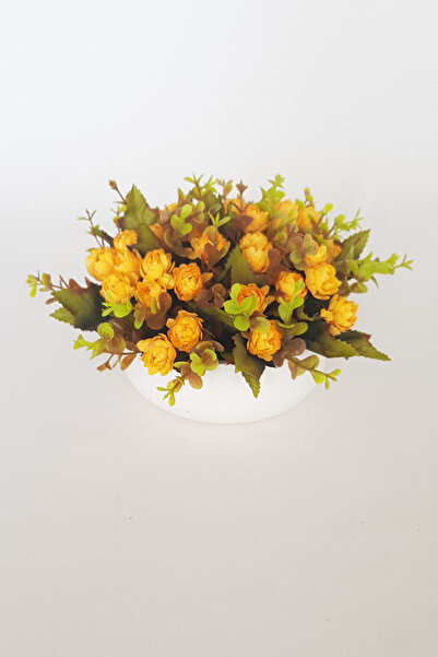 adresiburasi Beton Kase Model Saksıda Banko Masa Çiçeği