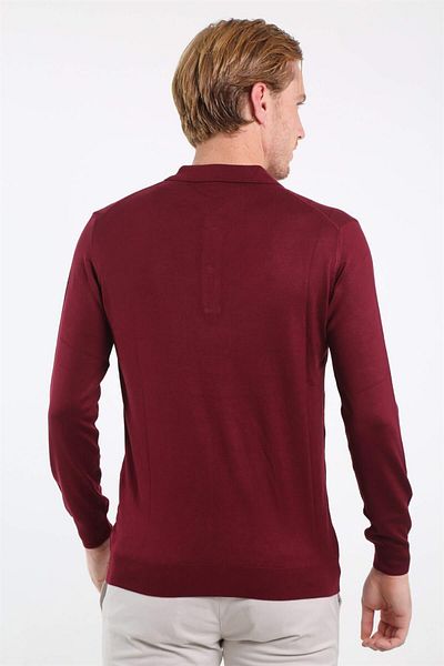 Raymons Intersivin Men's Burgundy Polo Neck Knitwear
