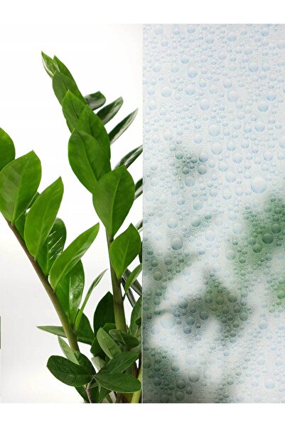 d-c-fix 176-0246 Folie de sticlă adezivă transparentă cu picături de apă albastră (45 cm x 1 mt)