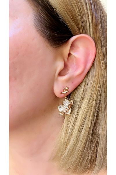 Store Steel earrings