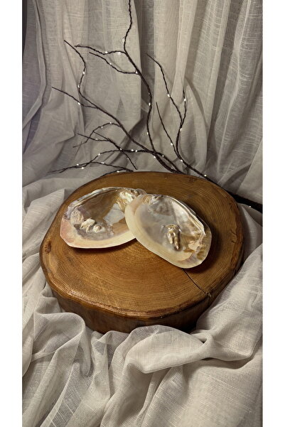 Genel Markalar Doğal Sedef Istiridye Deniz Kabuğu Tütsülük