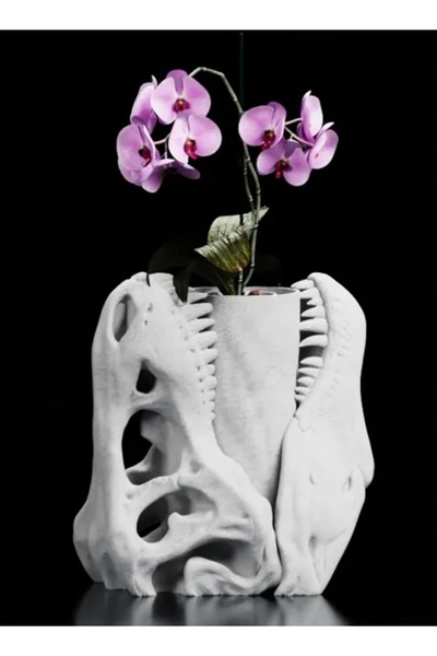 3D Brothers مزهرية على شكل جمجمة ديناصور