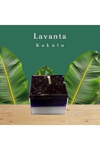 aralmini Plantinyum Özel Seri Oda Ofis Ortam Kokusu Mum