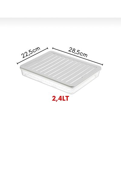 EsmoHome Freshbox Storage Container Suitable for Microwave and Deep Freezer Set of 4 Gray