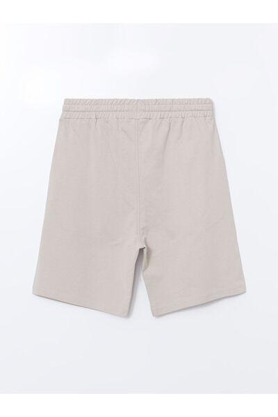 LC Waikiki LCWAIKIKI Classic Standart Kalıp Erkek Şort