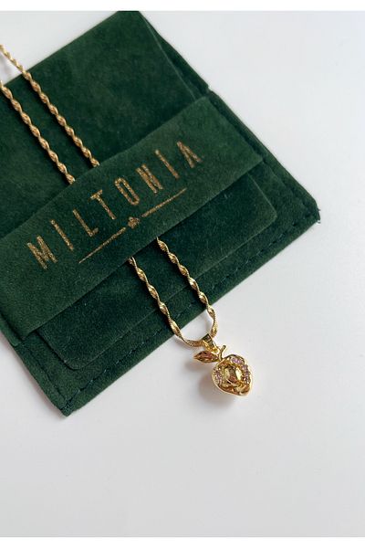 Miltonia Lilac zircon stone apple steel necklace