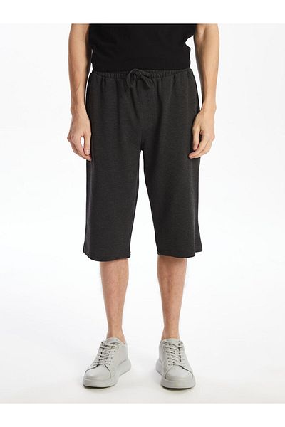 LC Waikiki Gray Standard Fit Men's Roller Shorts