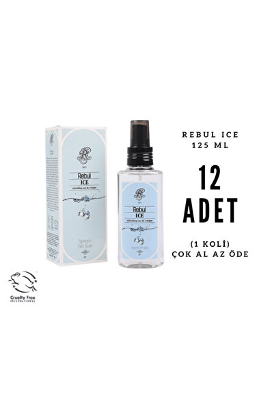 Rebul ICE Edc 125ml Sprey Pet Şişeli Kolonya 12 Adet (1 Koli)