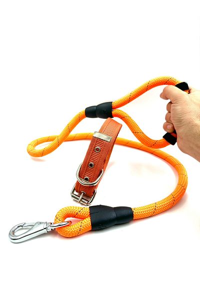 Tasma Market Orange Medium Breed Reflective Dog Walker and Neck Collar Set
