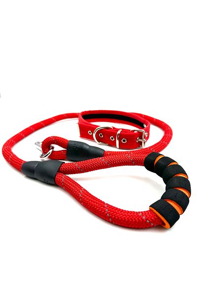 Tasma Market Red Small and Medium Breed Reflective Dog Walker and Neck Collar Set