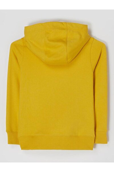 Tommy Hilfiger UNISEX ESSENTIAL LOGO HOODIE MADE OF PURE COTTON