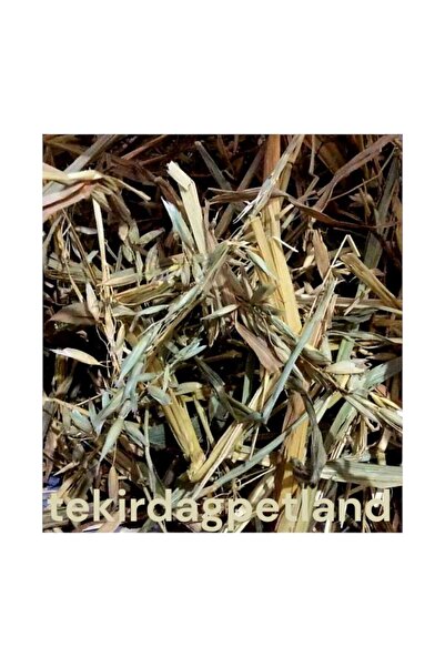 Akgün Tarım Yulaf Otu 500 Gr Tavşan ,ginepig Ve Hamsterler Için.