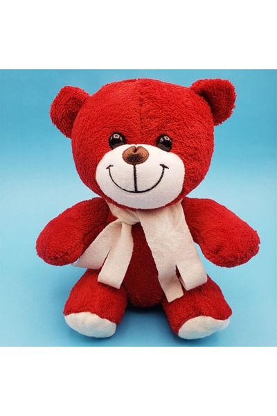 evimdeyokyok Red Plush Teddy Bear
