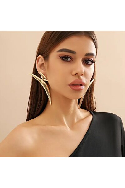 Dgt Luxury Elegant Sivri Köşe Küpeler, Kulak Iğnesi Paslanmaz Çelik