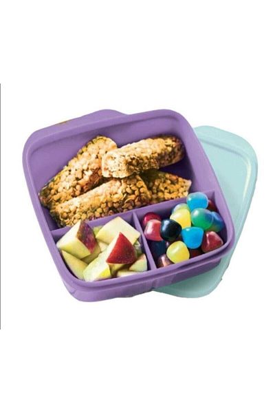 Tupperware New Color / Purple Compartment Lunch Box 550 ml