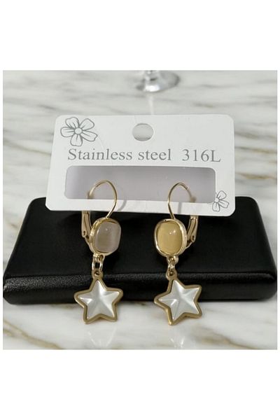 shop Sedefled Star 316L Steel Earrings