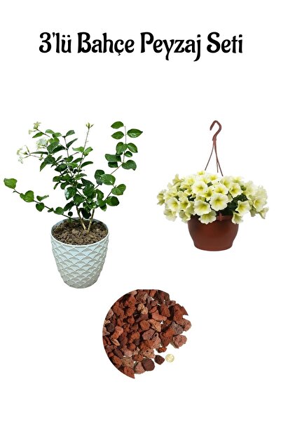 Gardenbox Ful Yasemin(30-60Cm)+Sarı Petunya Çiçeği(20-30Cm)+2lt Curf Dekorati...