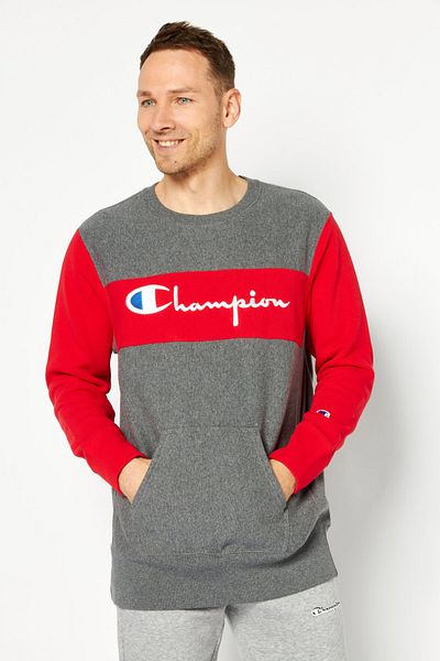 Champion Men Sportswear Fit Long Sleeve Outdoor Sweatshirt, Grey