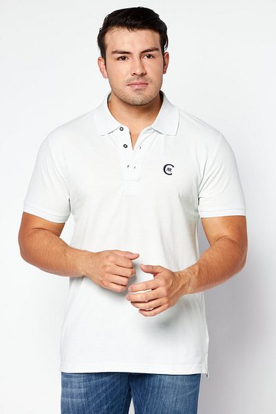 Cerruti 1881 Men Regular Fit Embroidered Logo Short Sleeve Polo Shirts, Mint Green