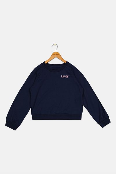 Levi's Kids Boy Crew Neck Long Sleeves Embroidered Sweatshirts, Navy Blue