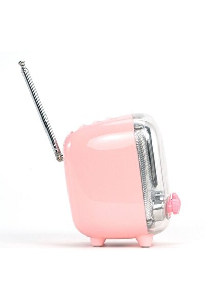 DIVOOM ألبوم صور ومكبر صوت كلمات الأغاني Tiivoo-2 - وردي