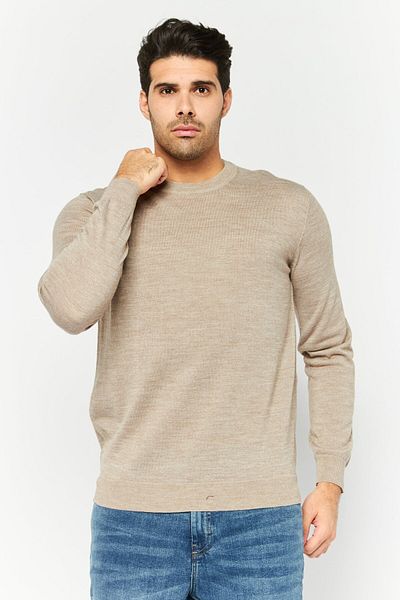 Sorbino Men Crew Neck Textured Long Sleeves Sweatshirt, Beige