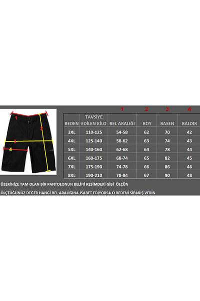 Lifeguard Plus Size Combed Cotton Shorts