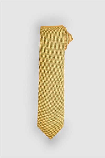 Tudors Plain Men's Tie with Pocket Handkerchief