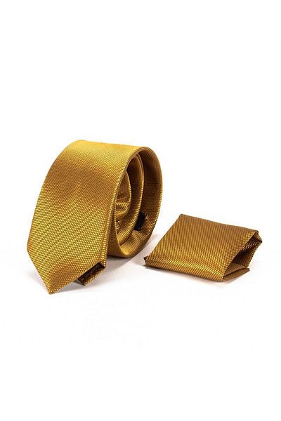 Tudors Classic Handkerchief and Self-Patterned Men's Tie