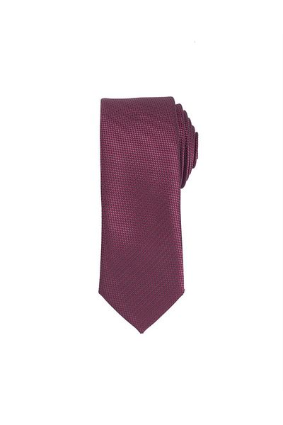 Tudors Thin Self-Patterned Men's Tie