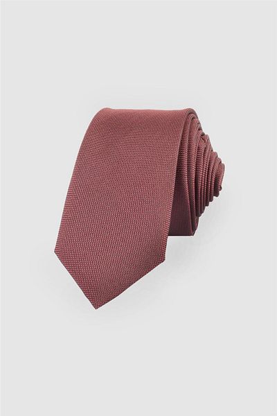 Tudors Self Patterned Plain Men's Tie
