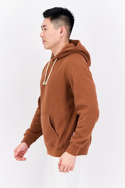 Champion Men Sportswear Fit Long Sleeves Outdoor Hoodies, Brown