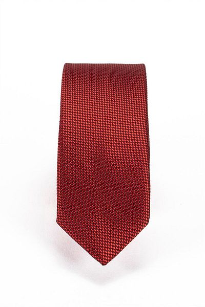 Tudors Thin Self-Patterned Men's Tie