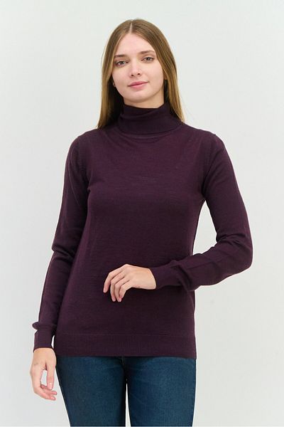 Sorbino Women High Neck Plain Long Sleeves Sweatshirt, Purple