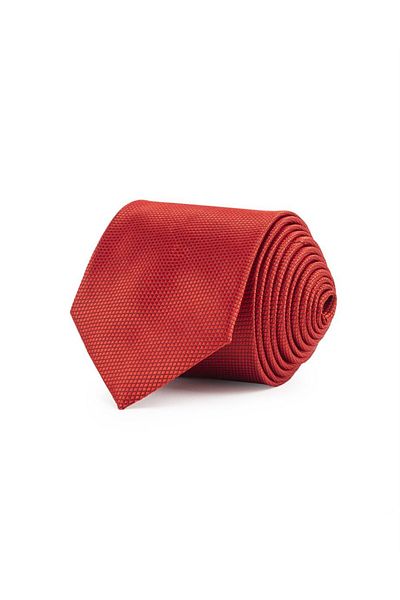 Tudors Classic Handkerchief and Self-Patterned Men's Tie