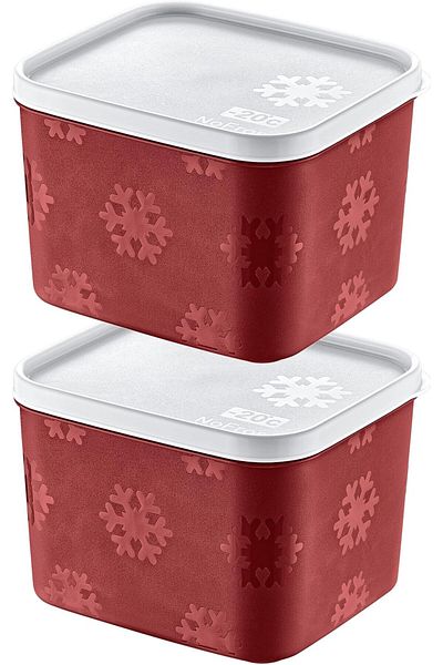 STOREMAX Sellbuystore Set of 2 No Frost Storage Container Carmen 1250 ml 1053513