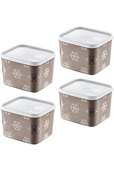 STOREMAX Sellbuystore Set of 4 No Frost Storage Container Terra 1250 ml 1053513