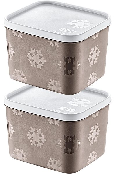 STOREMAX Sellbuystore Set of 2 No Frost Storage Container Terra 1250 ml 1053513