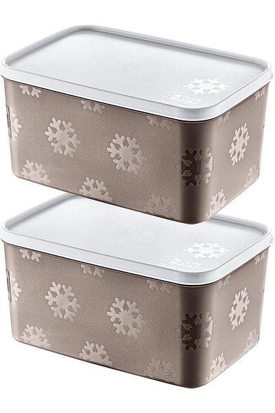 STOREMAX Sellbuystore Set of 2 No Frost Storage Container Terra 2600 ml 1053513