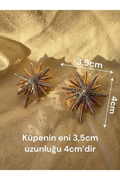 TarzımHane Gold Zirkon Taş Detaylı Çift Renk Kutup Yıldızı Pirinç Küpe