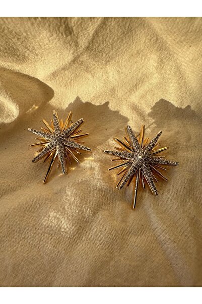 TarzımHane Gold Zirkon Taş Detaylı Çift Renk Kutup Yıldızı Pirinç Küpe