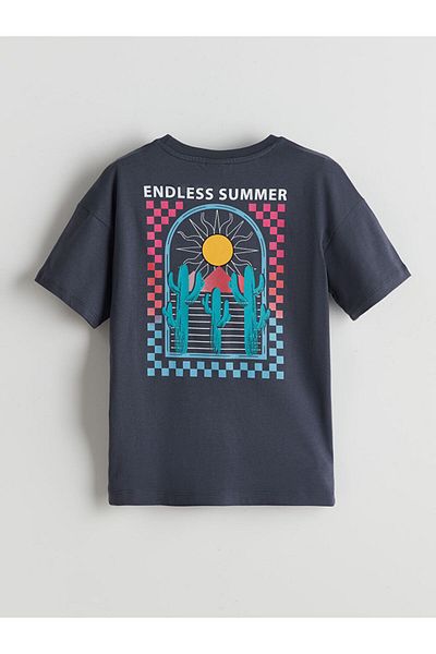 LC Waikiki Crew Neck Boy's T-Shirt