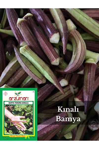 Arzuman Tohum Kınalı Bamya Tohumu